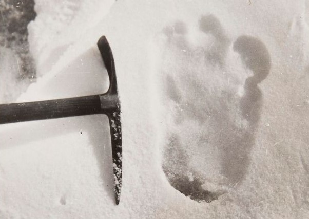 The Yeti Footprints of Mount Everest, as Photographed by Eric Shipton